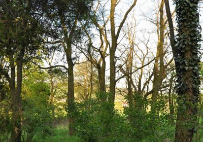 Hřbitov Krásné Loučky, Omnium, 2017