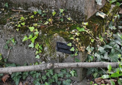 Hřbitov Krásné Loučky, Omnium, 2017