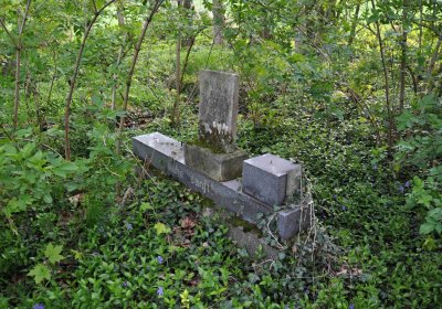 Hřbitov Krásné Loučky, Omnium, 2017