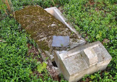 Hřbitov Krásné Loučky, Omnium, 2017