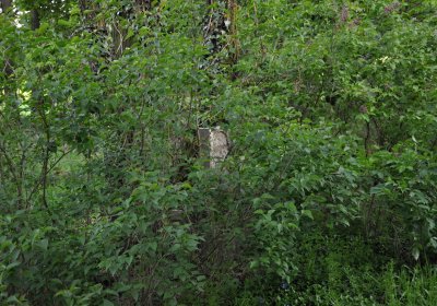 Hřbitov Krásné Loučky, Omnium, 2017