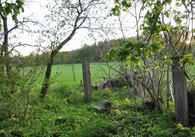 Hřbitov Krásné Loučky, Omnium, 2017