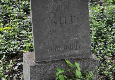 Hřbitov Krásné Loučky, Omnium, 2017