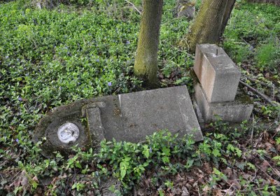 Hřbitov Krásné Loučky, Omnium, 2017