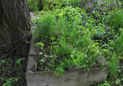 Hřbitov Krásné Loučky, Omnium, 2017