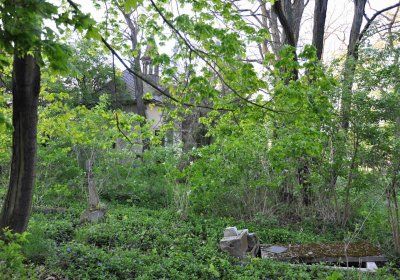 Hřbitov Krásné Loučky, Omnium, 2017