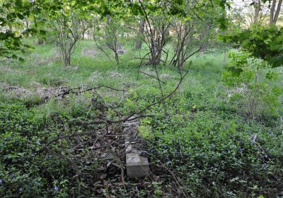 Hřbitov Krásné Loučky, Omnium, 2017