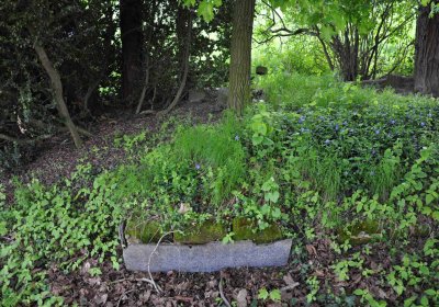 Hřbitov Krásné Loučky, Omnium, 2017