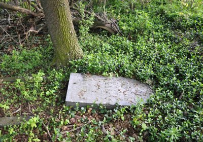 Hřbitov Krásné Loučky, Omnium, 2017