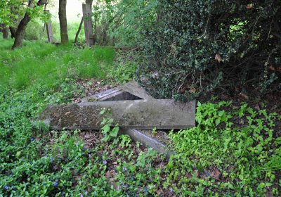 Hřbitov Krásné Loučky, Omnium, 2017