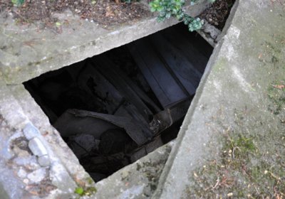 Hřbitov Krásné Loučky, Omnium, 2017