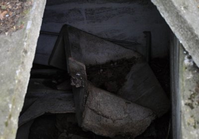 Hřbitov Krásné Loučky, Omnium, 2017