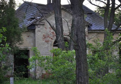 Hřbitov Krásné Loučky, Omnium, 2017