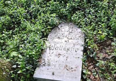 Hřbitov Krásné Loučky, Omnium, 2017