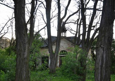 Hřbitov Krásné Loučky, Omnium, 2017