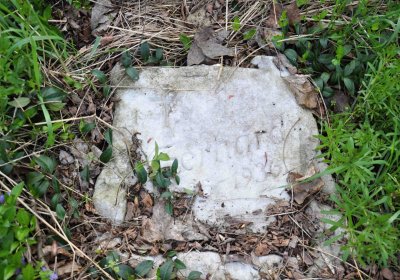 Hřbitov Krásné Loučky, Omnium, 2017