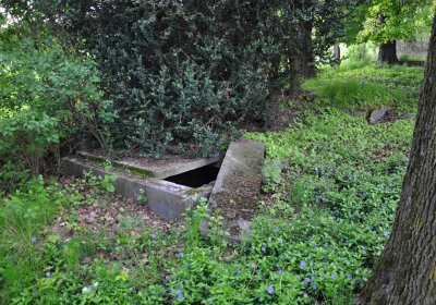 Hřbitov Krásné Loučky, Omnium, 2017