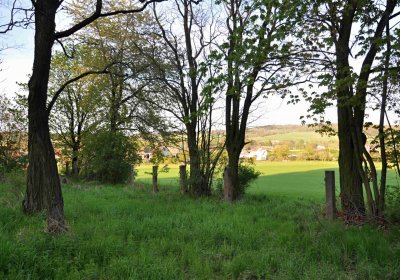 Hřbitov Krásné Loučky, Omnium, 2017