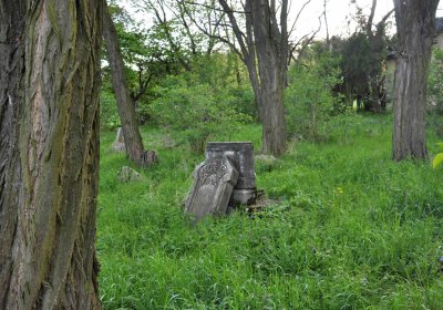 Hřbitov Krásné Loučky, Omnium, 2017