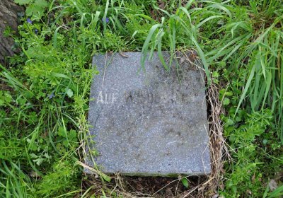 Hřbitov Krásné Loučky, Omnium, 2017