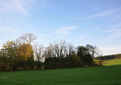 Hřbitov Krásné Loučky, Omnium, 2017