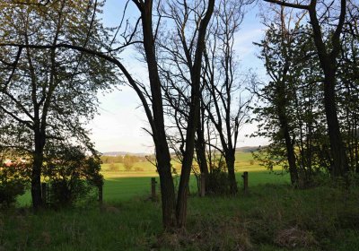 Hřbitov Krásné Loučky, Omnium, 2017