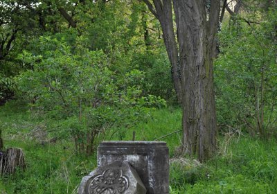 Hřbitov Krásné Loučky, Omnium, 2017
