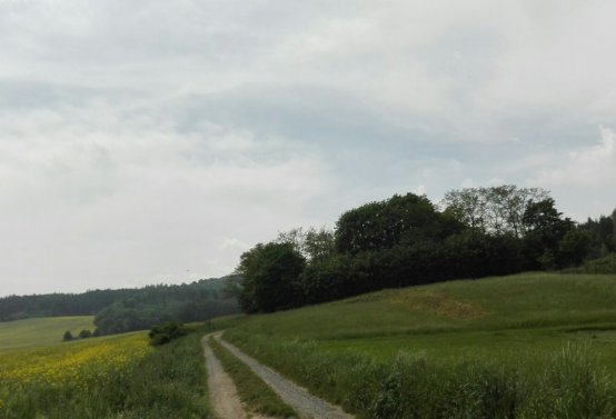 Omnium, 2016