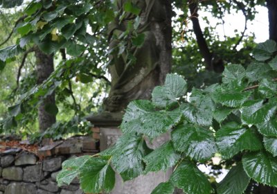 Mukařov, Omniium, 2020