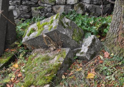 Mukařov, Omniium, 2020