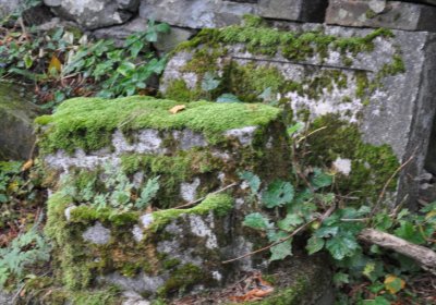 Mukařov, Omniium, 2020