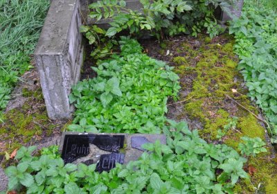 Mukařov, Omniium, 2020