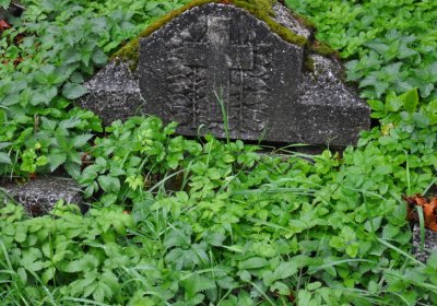 Mukařov, Omniium, 2020