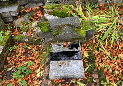 Mukařov, Omniium, 2020