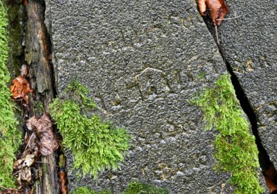 Mukařov, Omniium, 2020