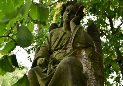 Mukařov, Omniium, 2020