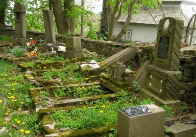 Kmínek Michal, 2020