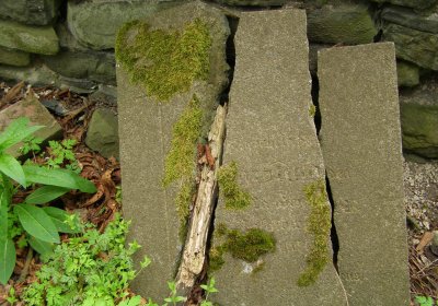 Kmínek Michal, 2020