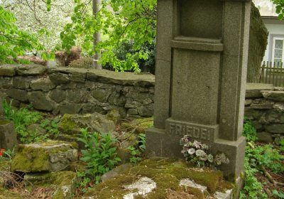 Kmínek Michal, 2020