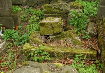 Kmínek Michal, 2020