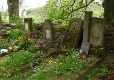 Kmínek Michal, 2020