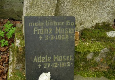 Kmínek Michal, 2020