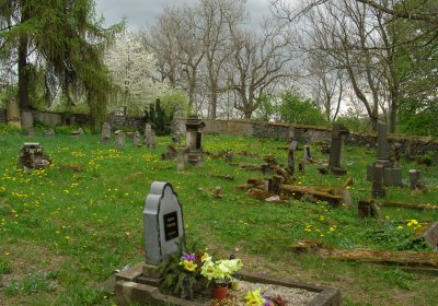 Kmínek Michal, 2020