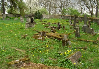 Kmínek Michal, 2020