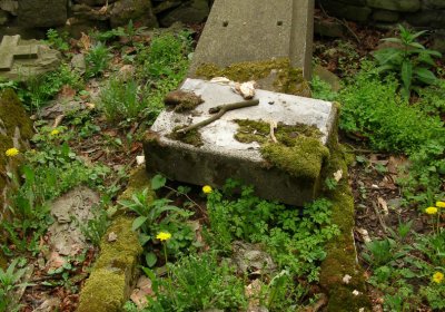 Kmínek Michal, 2020