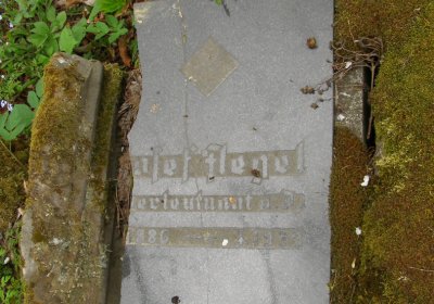 Kmínek Michal, 2020