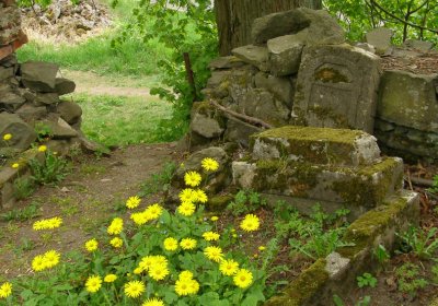 Kmínek Michal, 2020