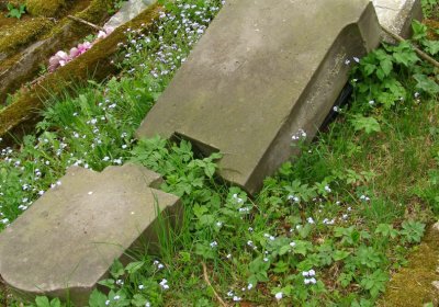 Kmínek Michal, 2020