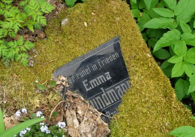 Kmínek Michal, 2020