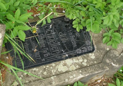 Kmínek Michal, 2020